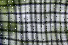 Budgetfreundlicher Insektenschutz: Ein Fliegengitter günstig ersetzten