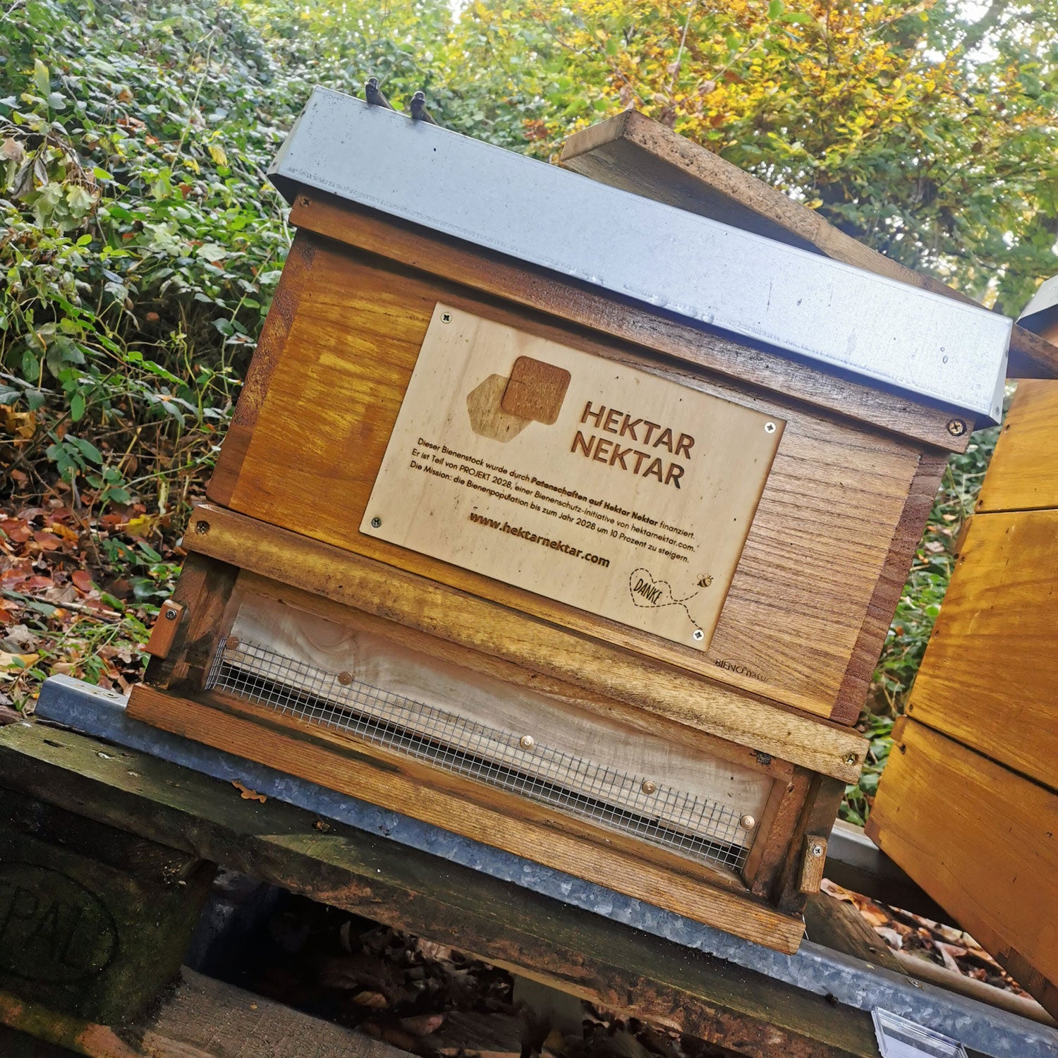 Hektar Nektar Bienenschutz